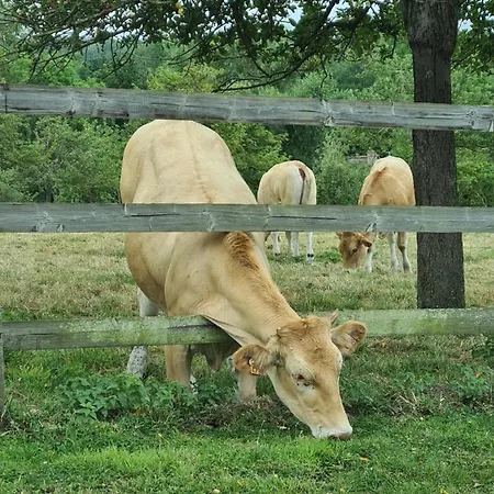 La Terrasse De L'estuaire - オンフルール
